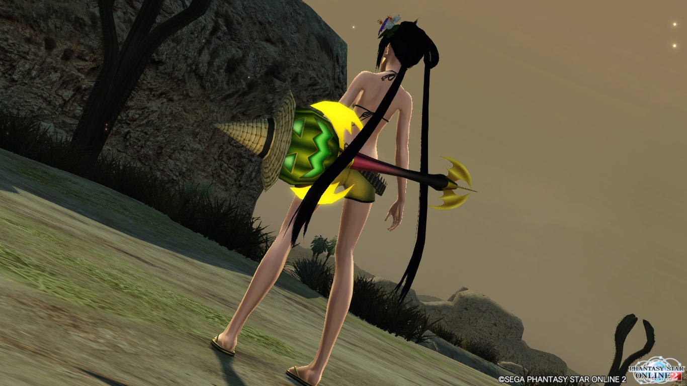 pso20141110_233222_145.jpg