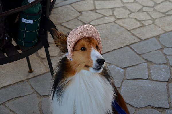 DSC_0041_20130518204957.jpg