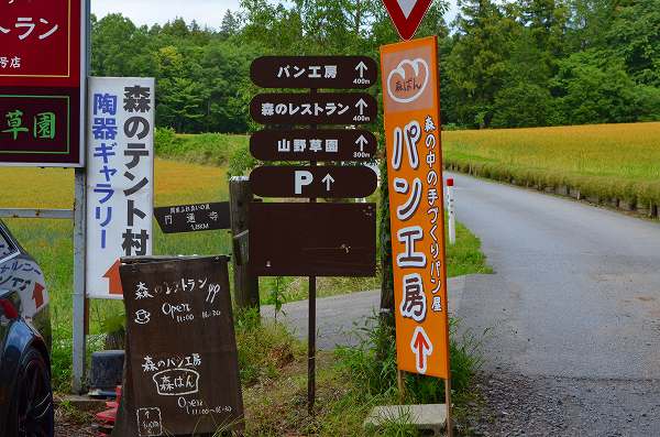 DSC_0103_20130602202855.jpg