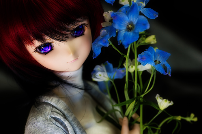 2014-11-11-2014-11-11-001-041a.jpg