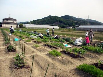 第10回講習会5月11日、13日5