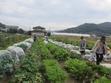 第28回講習会10月26日、27日4