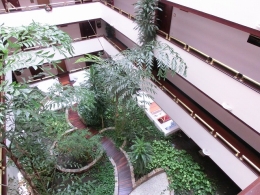 CIMG9002.jpg