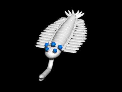 1002オパビニア_image2