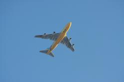 IMG_5319.jpg