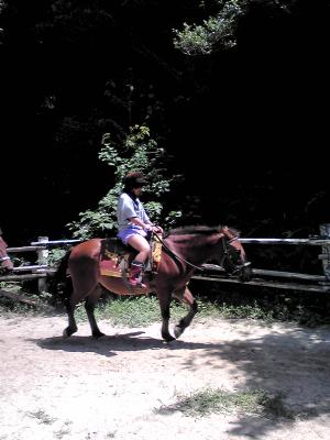 F1000676_convert_20120831215842.jpg