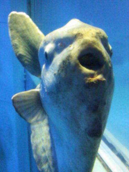 20120925_224333_convert_20120925224918.jpg