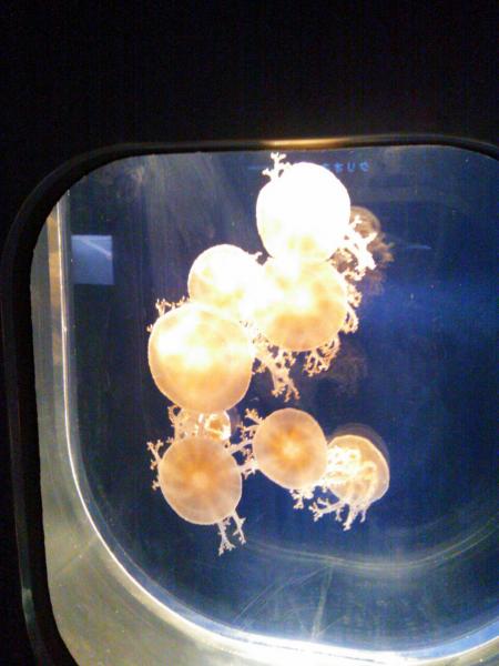 20120925_224441_convert_20120925224950.jpg