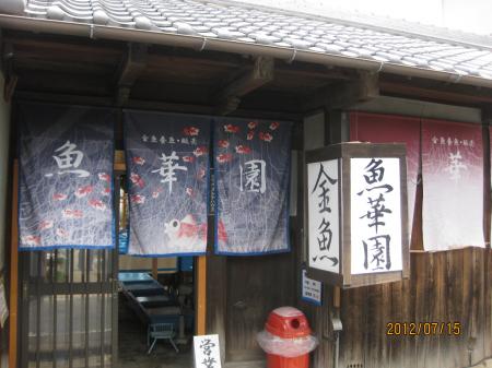 IMG_2685_convert_20120715210931.jpg