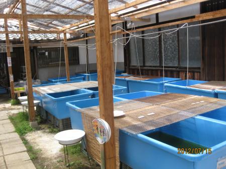 IMG_2687_convert_20120715210959.jpg