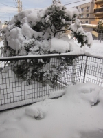 IMG_5786.jpg