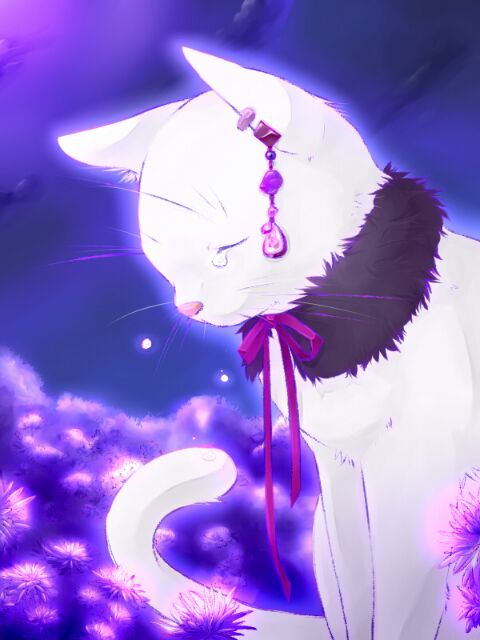 ねこなみだ