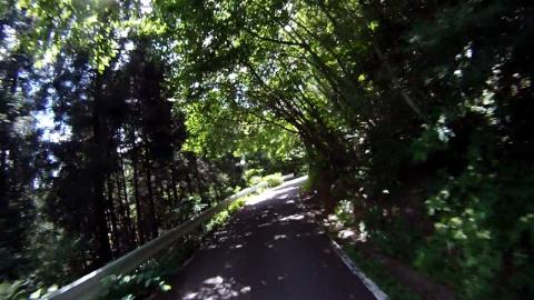 2012-07-05-14.jpg