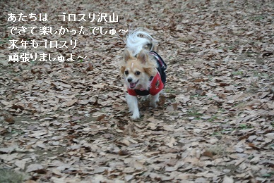 2013 12月31日 2