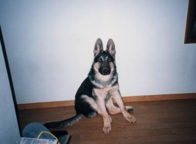 02_convert_20121130215129.jpg
