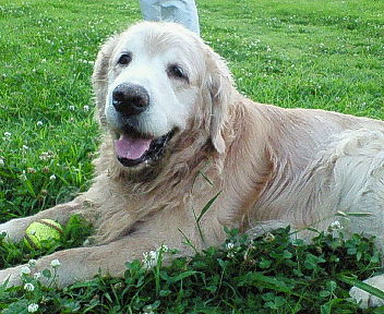 200707271851000.jpg