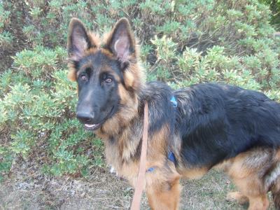 201210133.jpg
