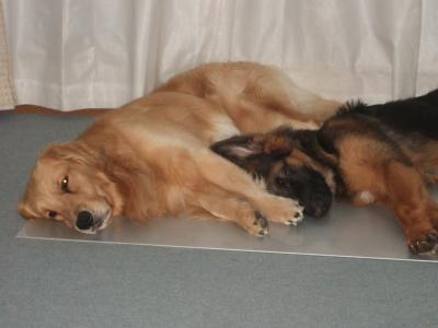 201210134.jpg
