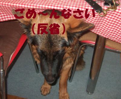 縺斐a繧点convert_20121121193720