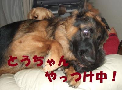 縺ィ縺・■繧・s繧・▲縺、縺台クュ_convert_20121217211000