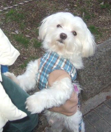 DSCF2621.jpg