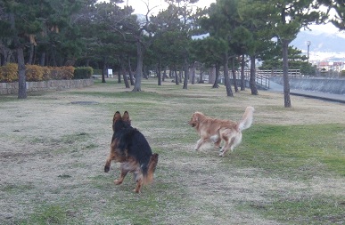 DSCF2715.jpg