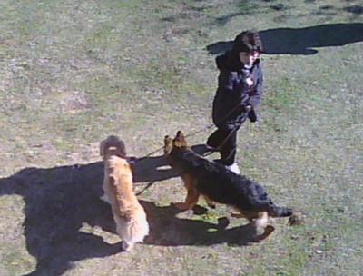 WS000756_convert_20121125201338.jpg