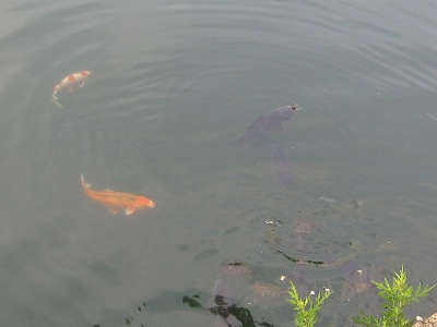 2012-6-1-2