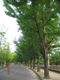 2012-8-17-1