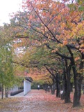 2012-11-17-1-2