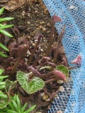 2012-9-20-1