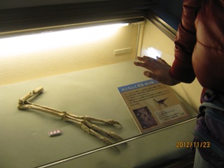 2012-11-23-2-1