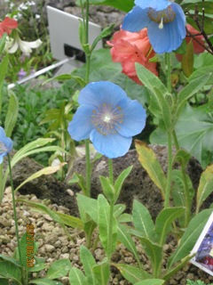 2012-6-30-2-5
