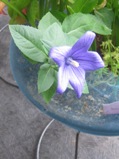 2012-6-16-1