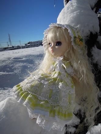 DSCN7019.jpg