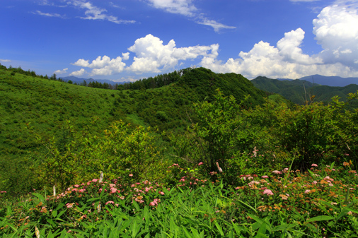 お花畑と三沢山との雲