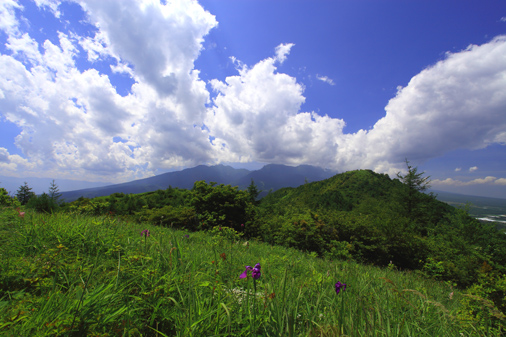 入道雲わく八ヶ岳と平沢山