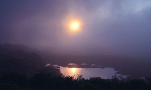 八島湿原の朝