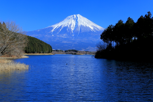 田貫湖と富士山