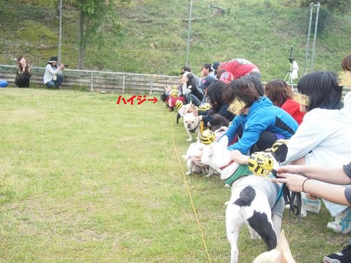P5043177_convert_20120507102701ペイント