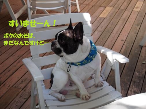 P8250864_convert_20120907164104ペイント