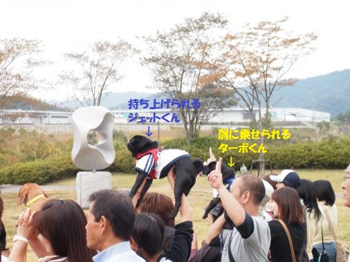PA141294_convert_20121016092404ペイント