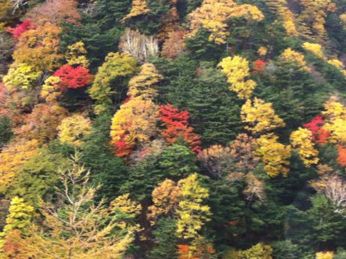 山のふもとの裾模様
