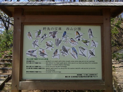 RIMG0070.jpg