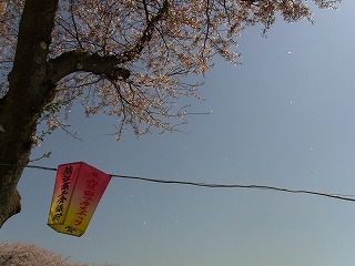 RIMG0119.jpg