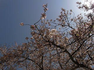 RIMG0124.jpg