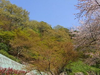 RIMG0128.jpg