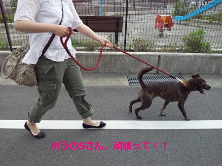 2012051213480002.jpg