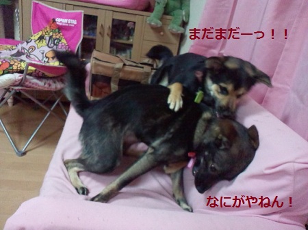 2012062921530003.jpg