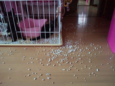 2012070312020000.jpg